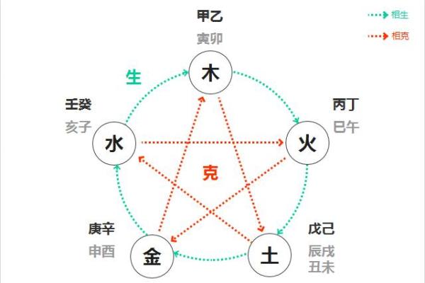 深入探索天干地支的五行与阴阳属性