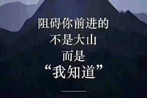 五行查询助你发现命运的秘密与生活指导