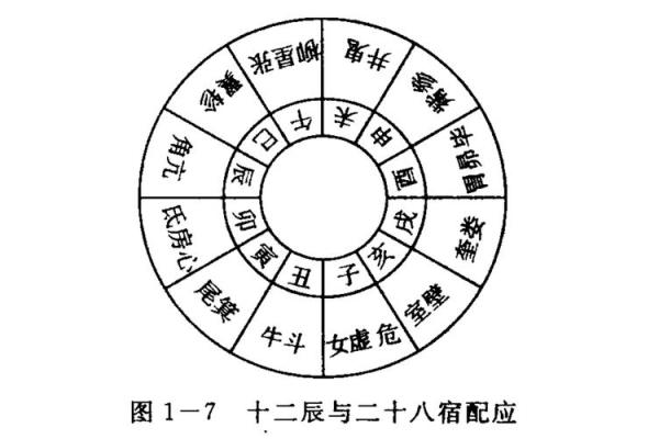 十天干相合的奥秘与应用解析