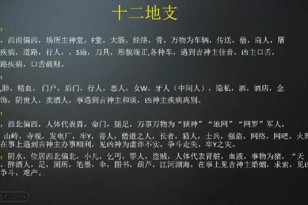 深入了解十二地支的文化与象征意义