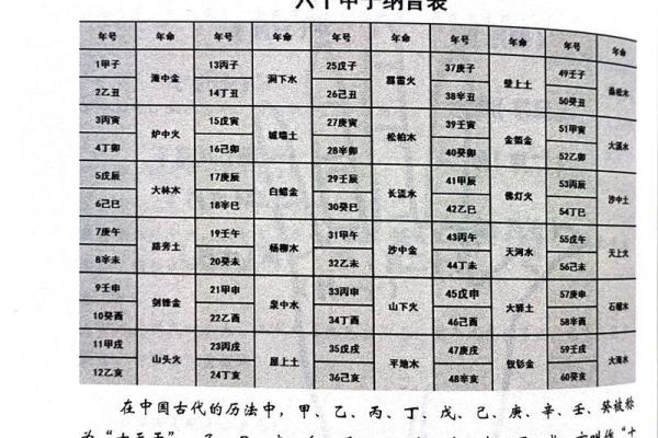 深入了解十二地支的文化与象征意义