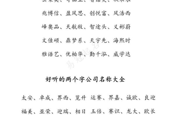 四字公司起名的创意与技巧解析