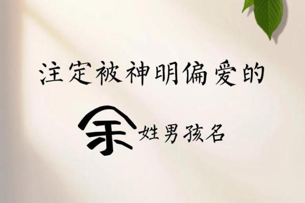 余姓男宝宝起名指南，挑选寓意深远的名字