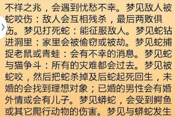 梦到好多蛇的寓意与心理解析