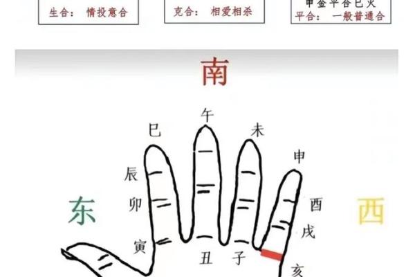 探索生肖地支的深层含义与文化象征
