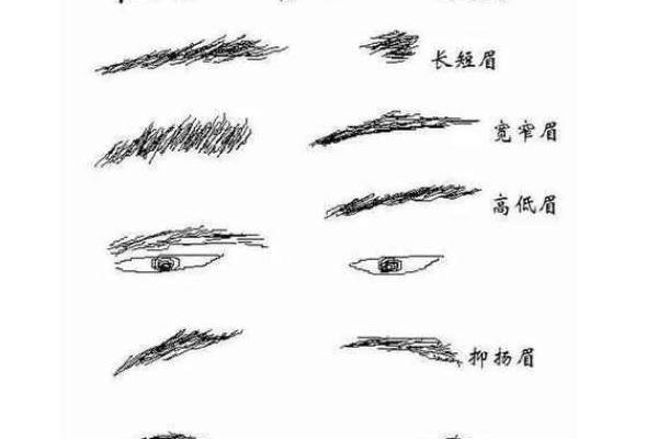 眉毛上扬的男人面相解析：展现自信与智慧的独特魅力