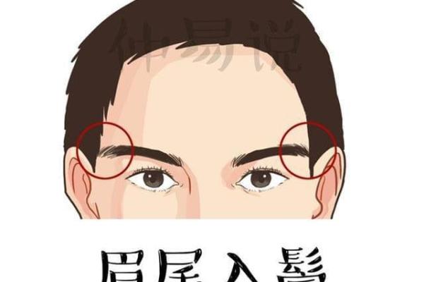眉毛上扬的男人面相解析：展现自信与智慧的独特魅力