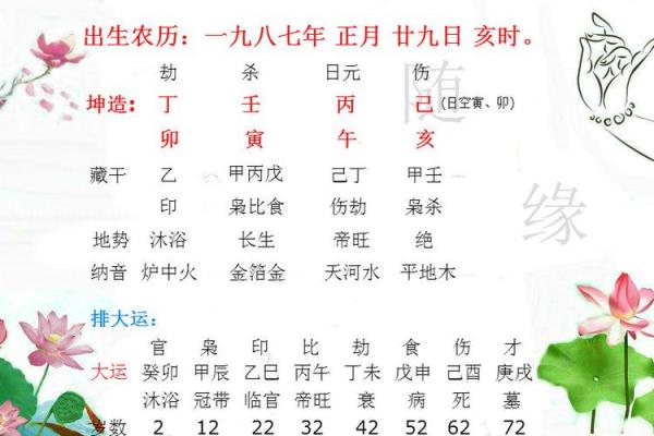 八字APP推荐：精准分析命运与运势的最佳选择