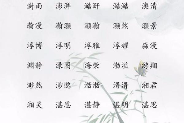 新生儿起名：音韵、含义与五行的考量
