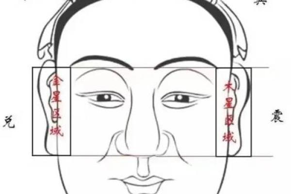 眉骨突出的男人面相解析：揭示个性与命运的深层密码
