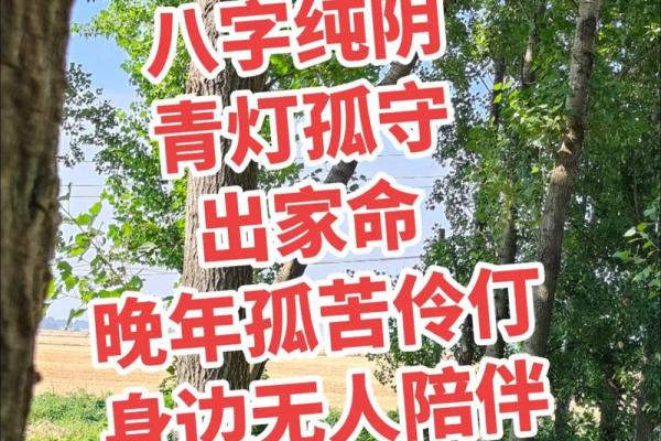 纯阴八字的命理解析与生活运势的关系