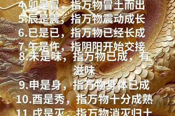 十二地支合化的奥秘与命理解析
