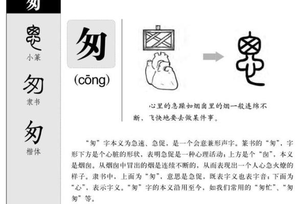 彭姓男孩起名指南：从字义到音韵的全方位考虑
