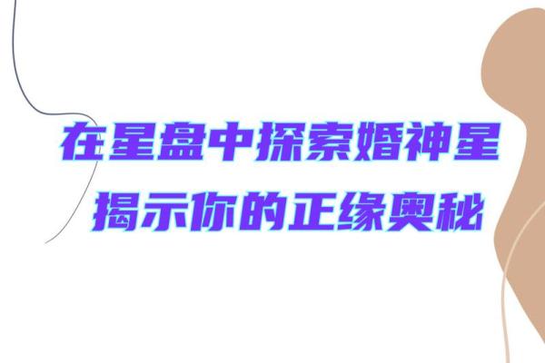 如何免费查找你的正缘，揭秘爱情的秘密