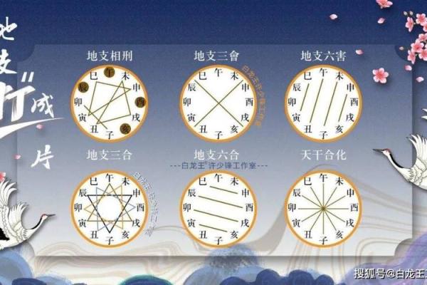 深入了解地支：十二地支的含义与象征