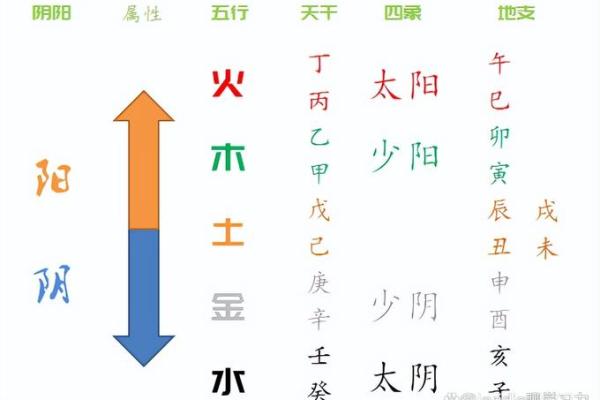 深入了解地支：十二地支的含义与象征