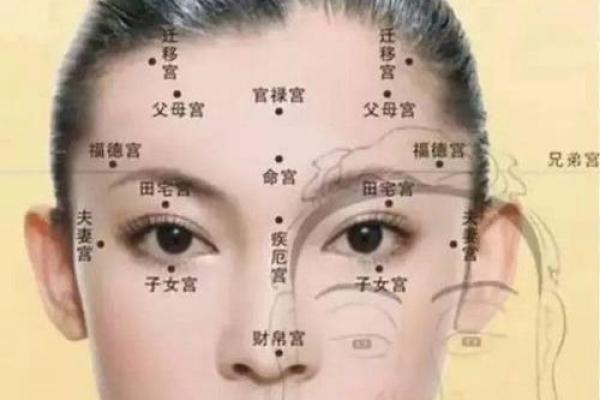 牛鼻面相的吉凶：从面相学角度看财富和健康