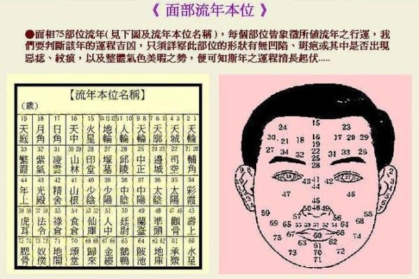 牛鼻面相的吉凶：从面相学角度看财富和健康