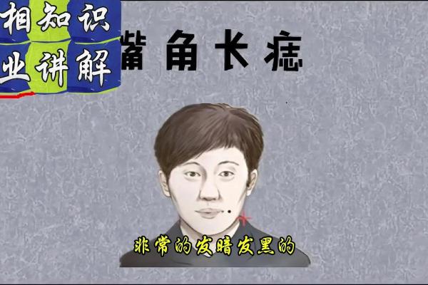 在线面相分析：如何通过面部特征解读未来
