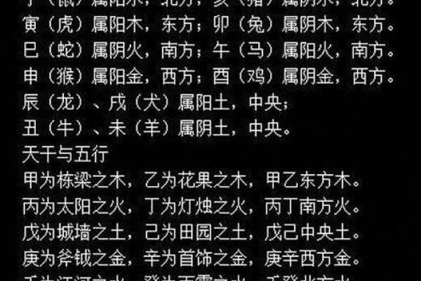 深入了解支与时辰的神秘联系