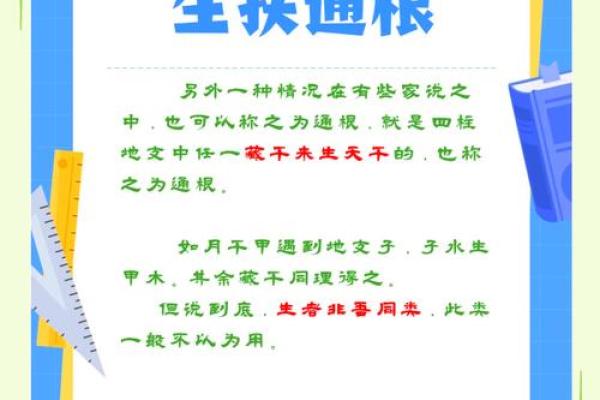 深入了解支与时辰的神秘联系
