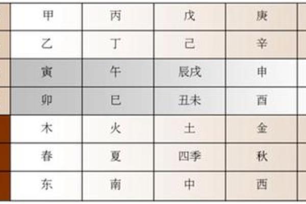 十二地支的阴阳属性解析与应用