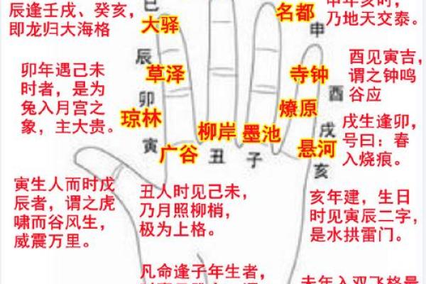 十二地支的阴阳属性解析与应用