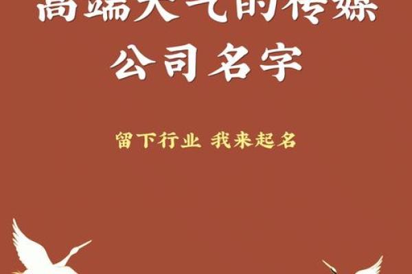 专业品牌起名公司助您打造独特企业形象
