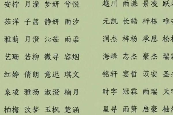 孩子名字的寓意与人生影响