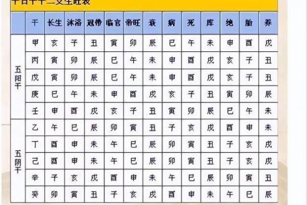 探索十二天干与十二地支的深层关联与应用