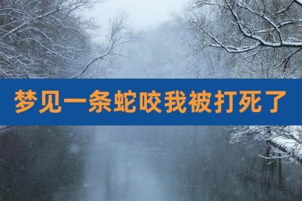 解析女人梦见被蛇咬的象征意义