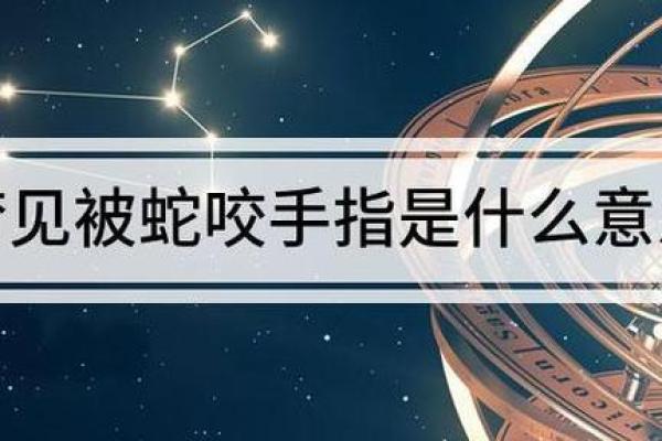 解析女人梦见被蛇咬的象征意义