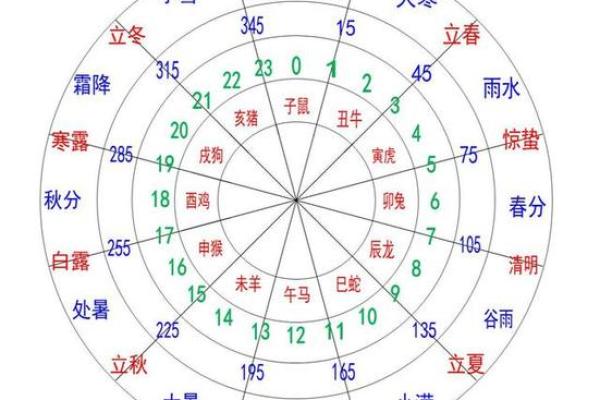 十二生肖与十二地支的神秘联系及其文化意义