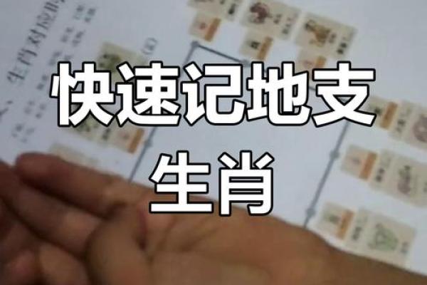 探索十二生肖与地支之间的深层次联系