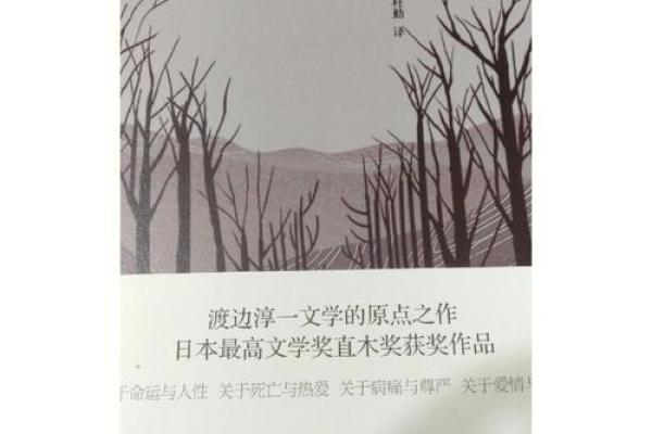 命理学视角下的二婚命运与选择