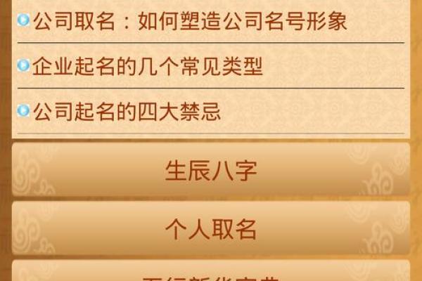 精选有限公司起名策略，助力品牌成功