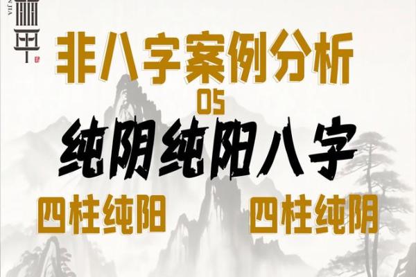八字纯阳男命的特点与命运解析