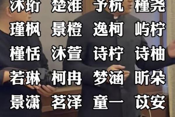 蛇宝宝名字大全：让你的宠物更具个性