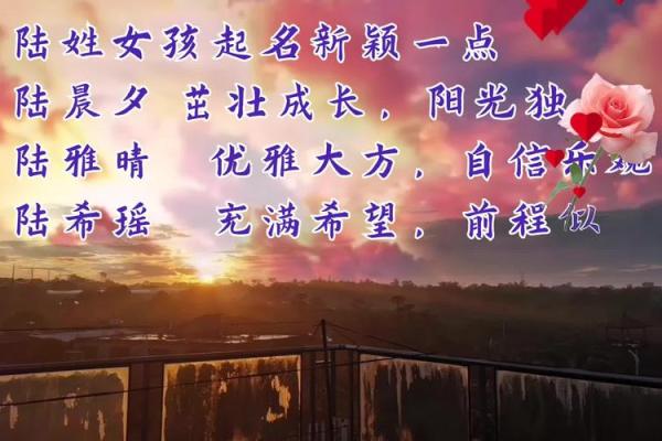 陆姓女宝宝取名技巧与名字推荐
