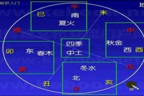 十二地支生旺死绝关系解读与命理应用