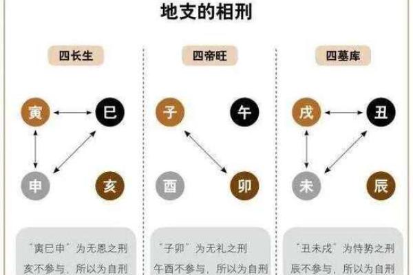 十二地支生旺死绝关系解读与命理应用