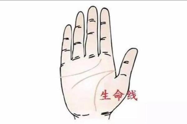 命理是否真的准？探寻命运预测的科学与迷信边界