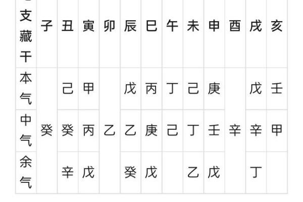 十二地支藏干详解及其在命理中的应用解析