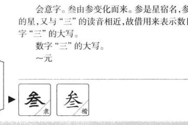 政字取名的深刻寓意与文化象征解析