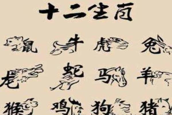十二天干地支与生肖的关联分析