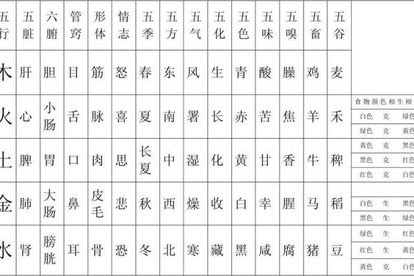 天五行属性的独特解析与应用探索