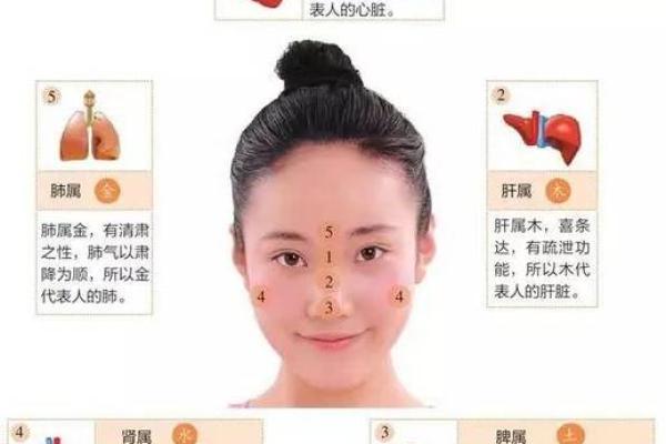 姝字五行属性解析及其对命理的影响