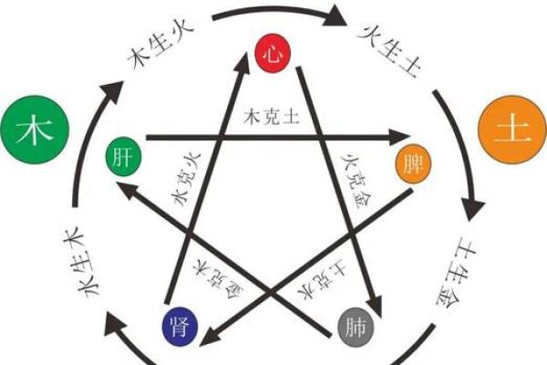 金姓男孩取名指南：从五行八字到个性特色