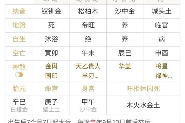 如何通过十二地支理解时间与命运的交织
