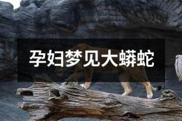 周公解梦解析：梦到怀孕象征着什么？